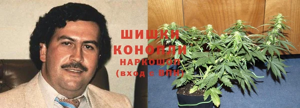 прущий лед Алзамай