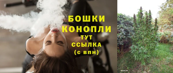 дмт Россошь