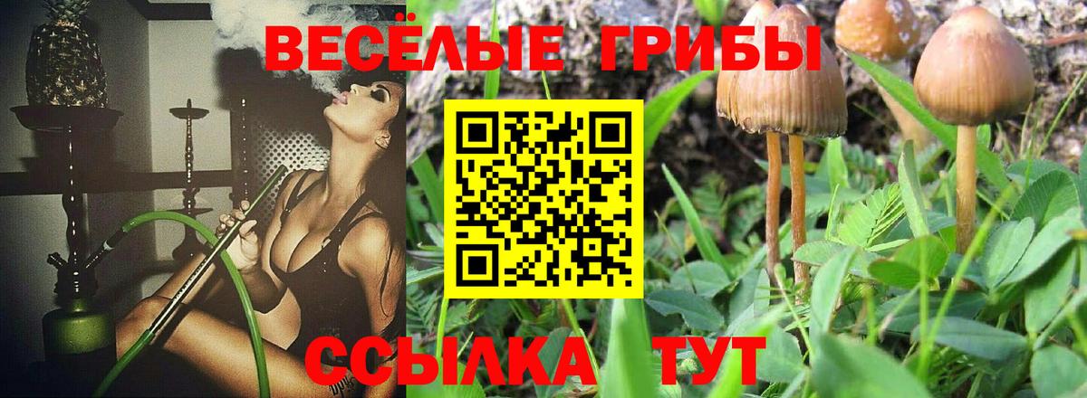Галлюциногенные грибы Psilocybine cubensis  Вход с VPN  Галлюциногенные грибы GOLDEN TEACHER  Сафоново 